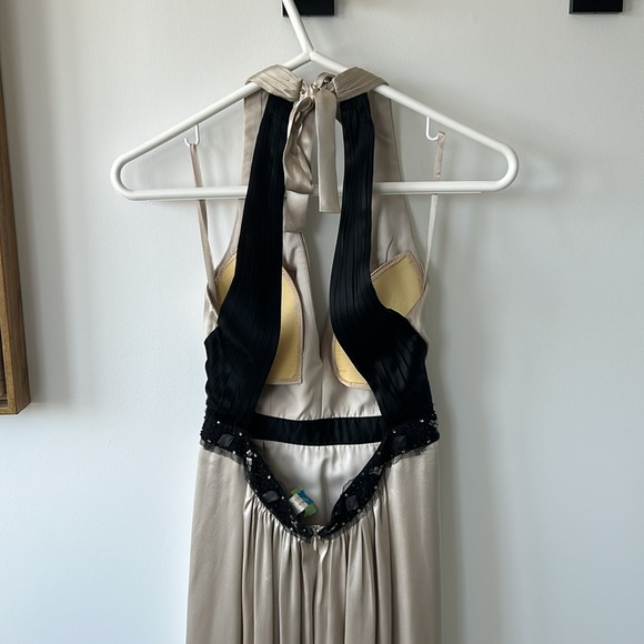 SOLD - BCBG MaxAzria Beige Silk Beaded Evening Gown EUC - Picture 7 of 11